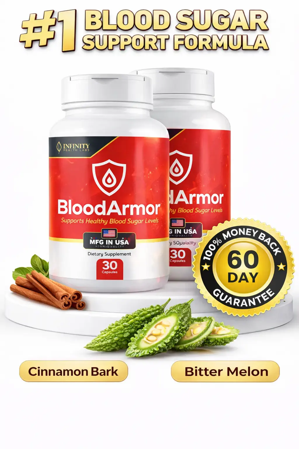 BloodArmor Blood Sugar Support Supplement